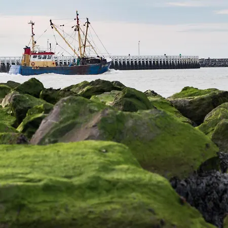 Oosternest Ostende