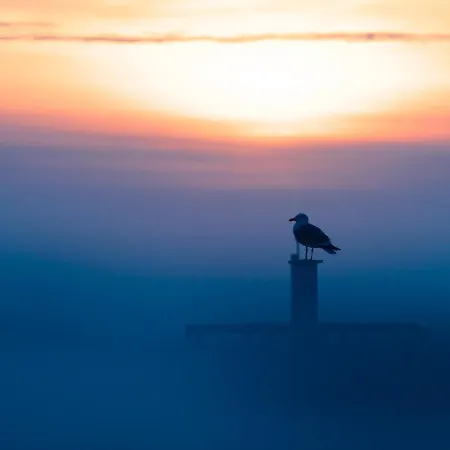 Apartment Oosternest Ostende