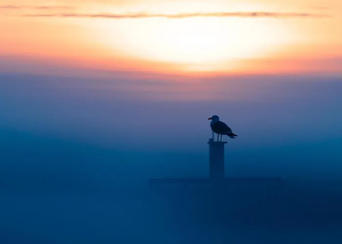 Apartman Oosternest Ostende