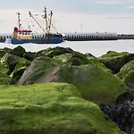 Oosternest Ostend